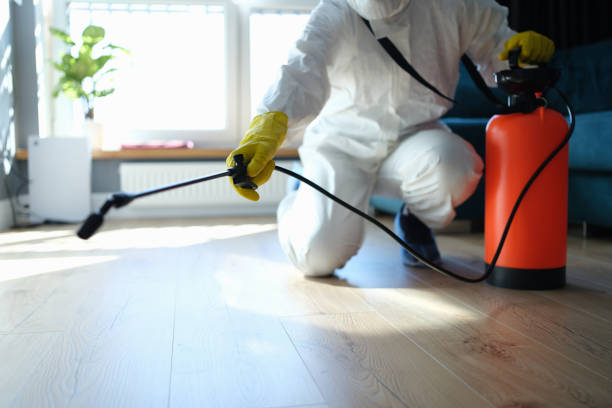 Reliable Odor Removal contractor in Nederland, TX by Trauma Clean Pros